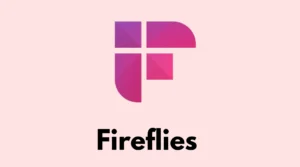 Fireflies-AI-Logo-2